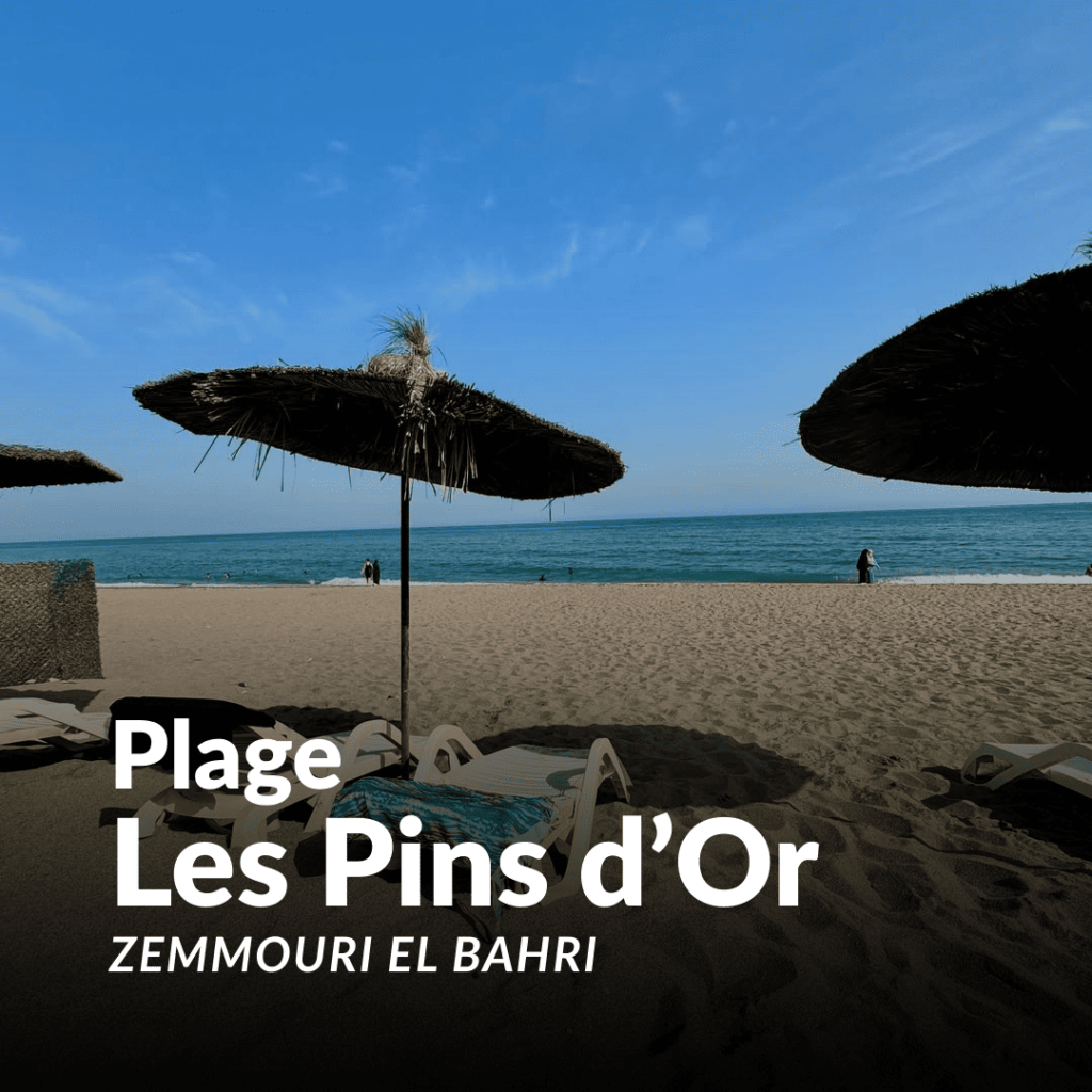 plage les pins d'or