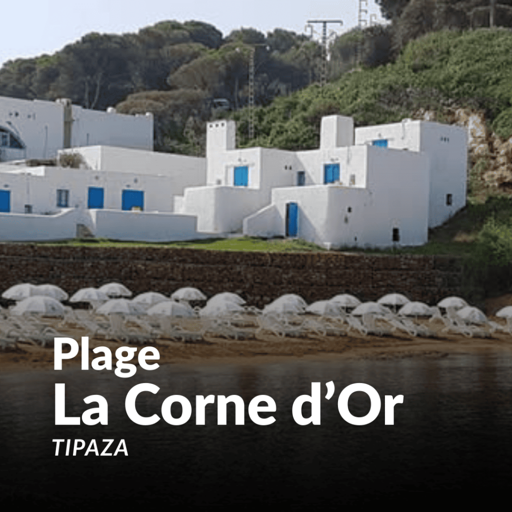 plage la corne d'or