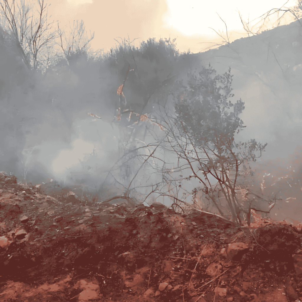 feux foret algérie aout 2025
