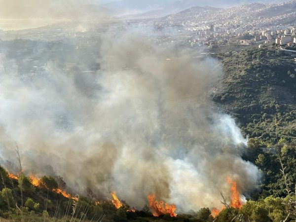incendie kabylie 2025