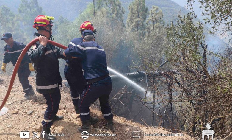 feu de foret chréa aout 2025