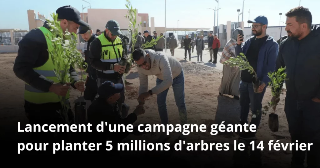 campagne reboiesement algérie 2026